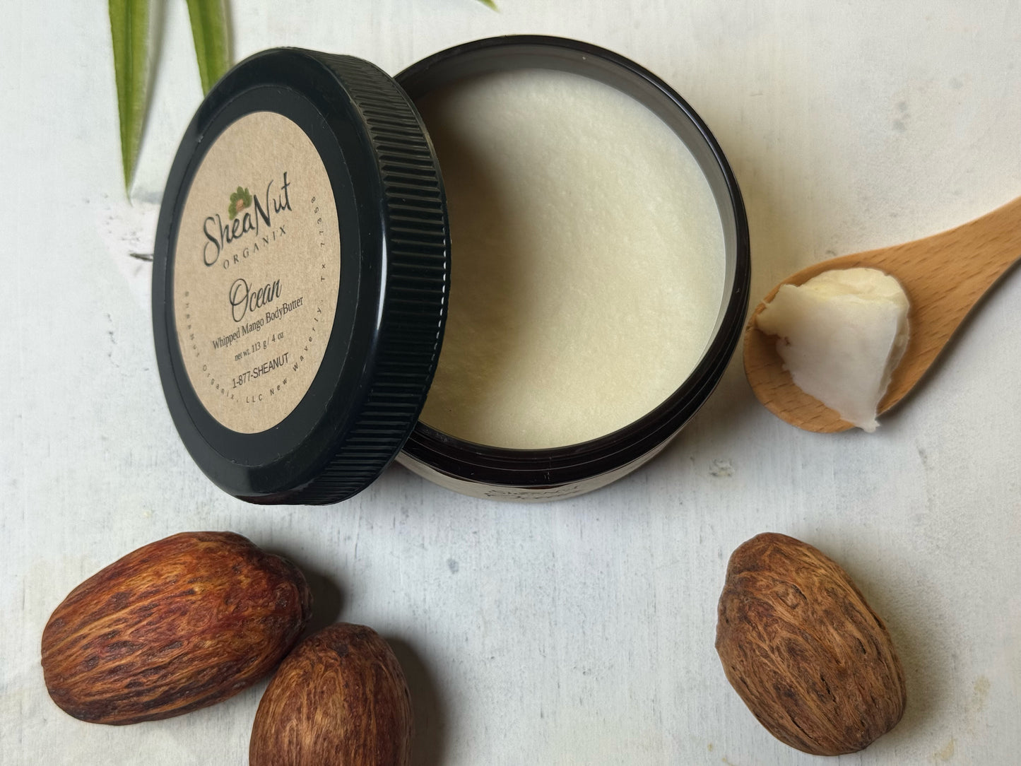 Ocean- Organic Whipped Shea Mango Body Butter